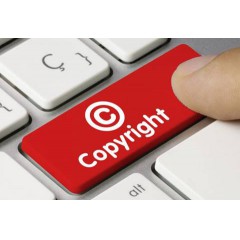 专利版权保护